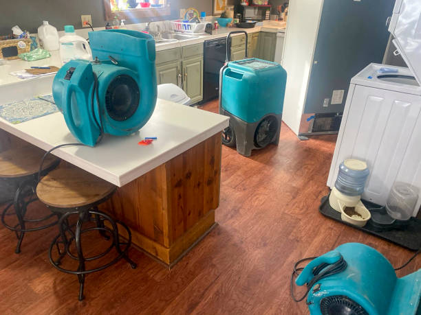 Best Professional water damage repair  in Minco, OK
