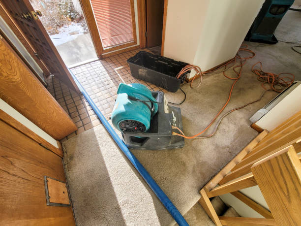 Best Emergency water damage restoration  in Minco, OK