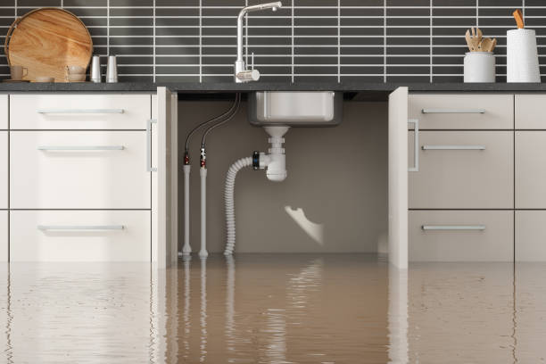 Best Water damage restoration process  in Minco, OK